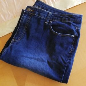 Jennifer Lopez Stretchy Jeans EUC